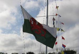 IMG_5154 SHBC 2008.jpg (58536 bytes)